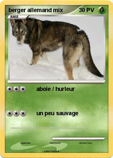 Pokemon berger allemand mix