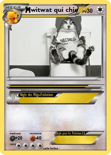 Pokemon witwat qui chie