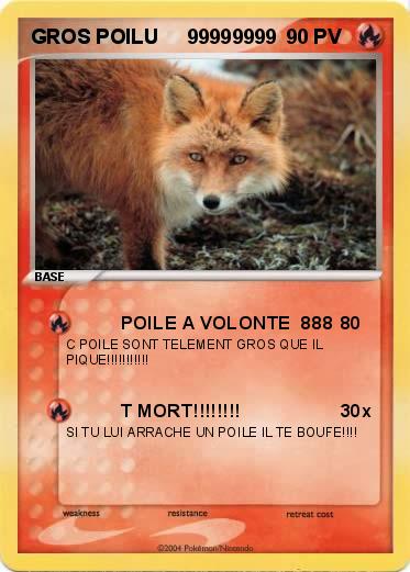 Pokemon GROS POILU     99999999