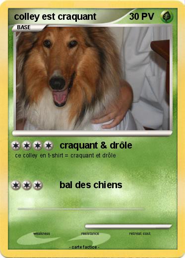 Pokemon colley est craquant
