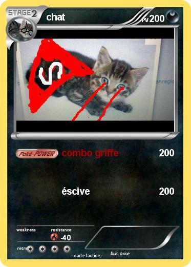 Pokemon chat
