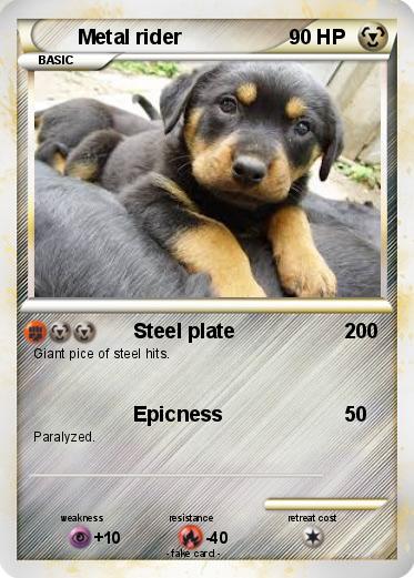 Pokemon Metal rider