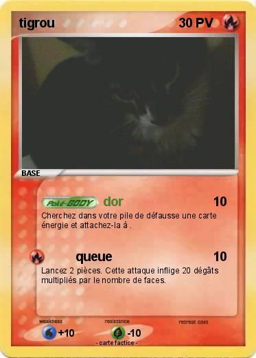Pokemon tigrou