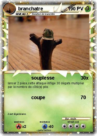 Pokemon branchatre