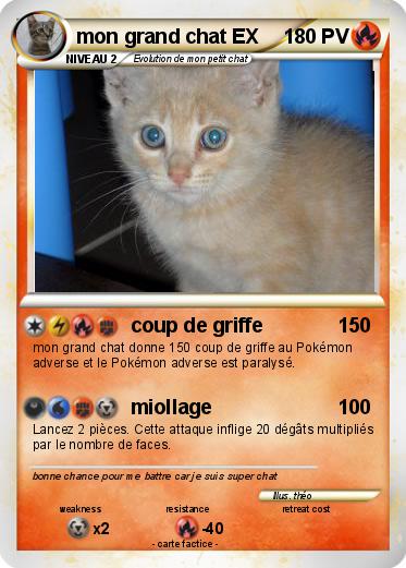 Pokemon mon grand chat EX