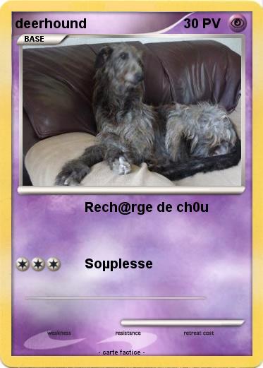 Pokemon deerhound