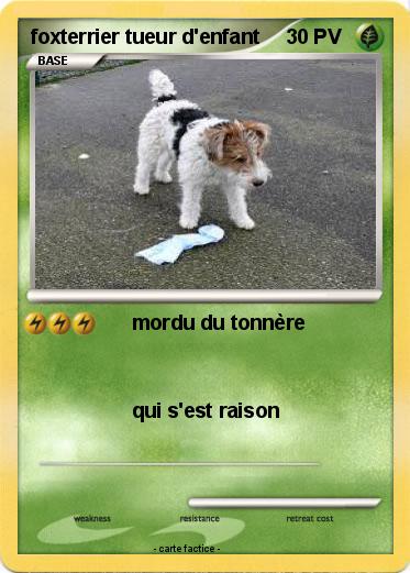 Pokemon foxterrier tueur d'enfant