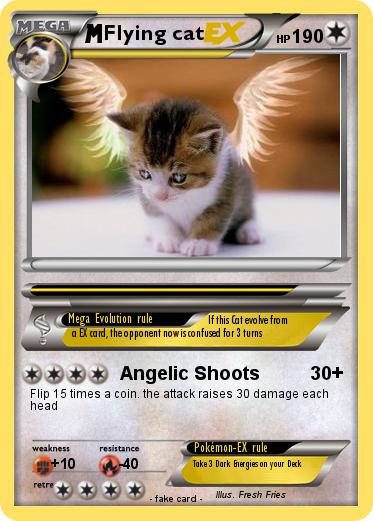 Pokemon Flying cat