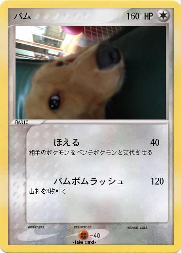 Pokemon バム