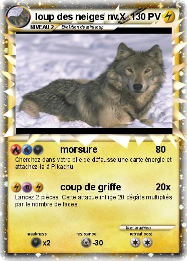 Pokemon loup des neiges nv.X