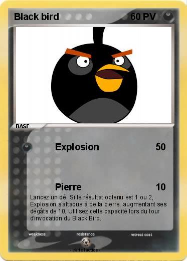 Pokemon Black bird