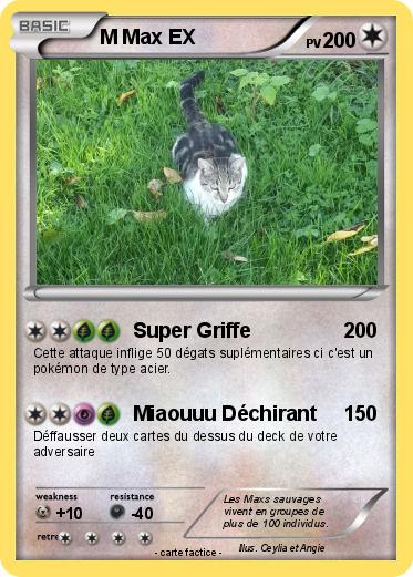Pokemon M Max EX