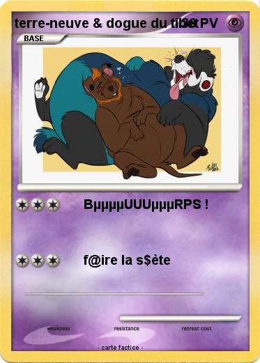 Pokemon terre-neuve & dogue du tibet