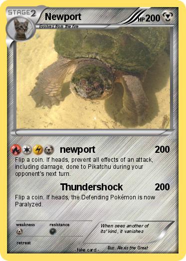 Pokemon Newport