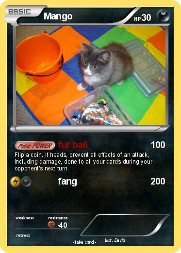 Pokemon Mango