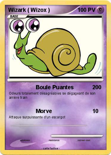 Pokemon Wizark ( Wizox )