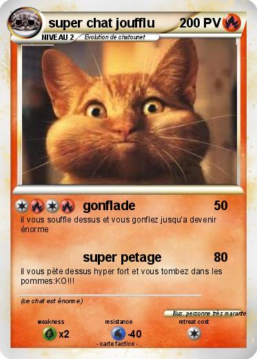 Pokemon super chat joufflu