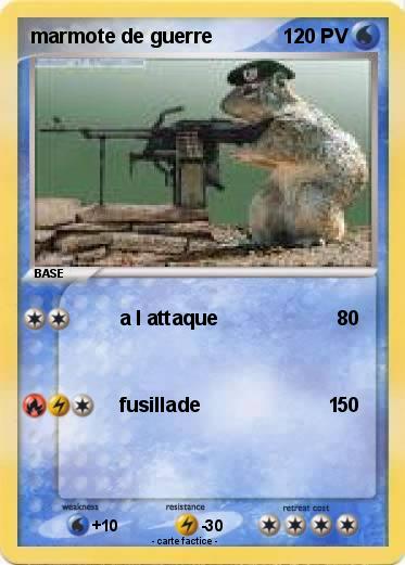 Pokemon marmote de guerre