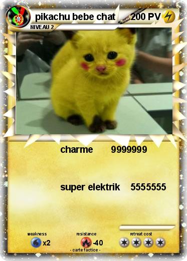 Pokemon pikachu bebe chat