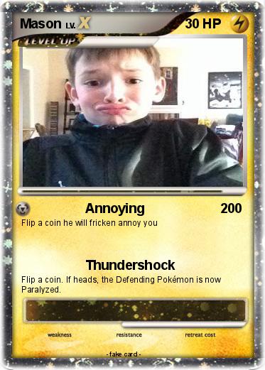 Pokemon Mason