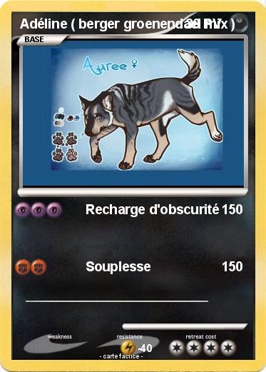 Pokemon Adéline ( berger groenendael mix )
