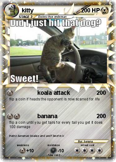 Pokemon kitty