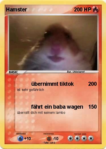 Pokemon Hamster