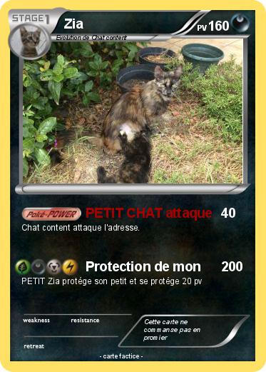 Pokemon Zia