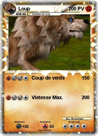Pokemon Loup