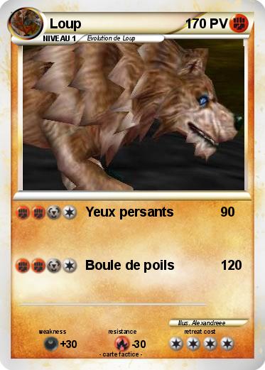 Pokemon Loup