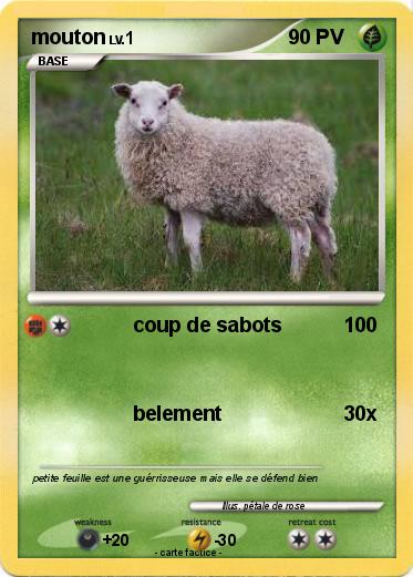 Pokemon mouton