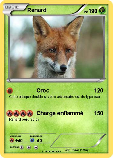 Pokemon Renard
