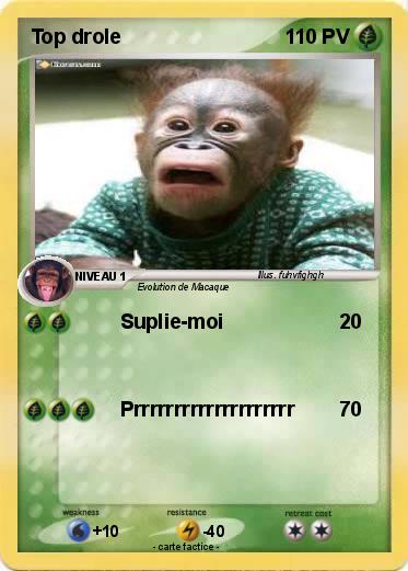Pokemon Top drole