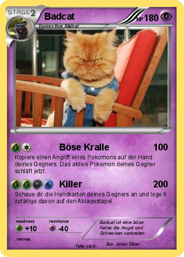 Pokemon Badcat