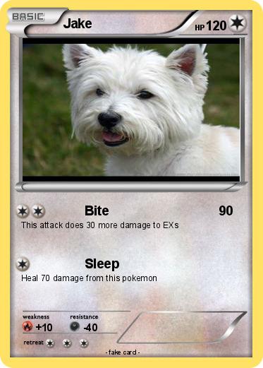 Pokemon Jake