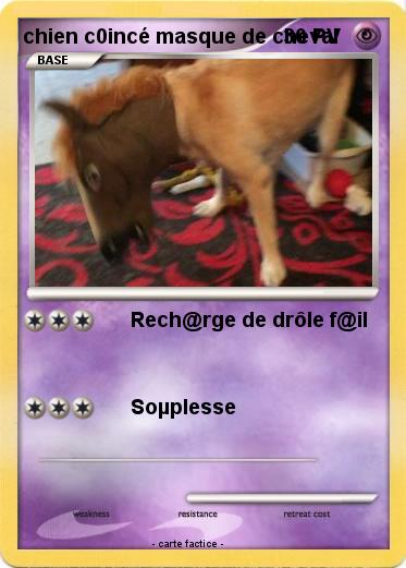 Pokemon chien c0incé masque de cheval