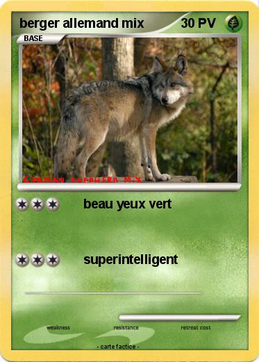 Pokemon berger allemand mix