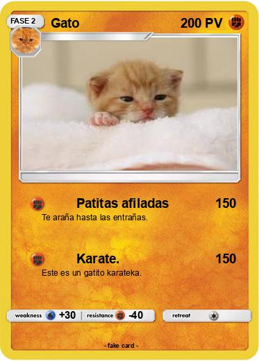 Pokemon Gato