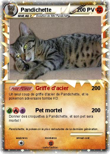 Pokemon Pandichette