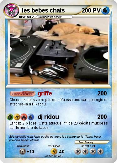 Pokemon les bebes chats