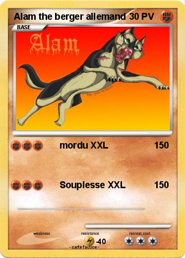 Pokemon Alam the berger allemand