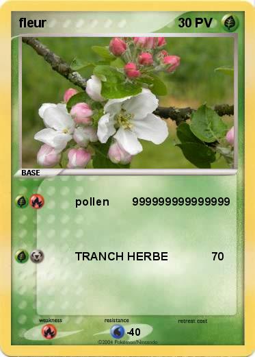 Pokemon fleur
