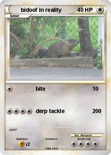 Pokemon bidoof in reality