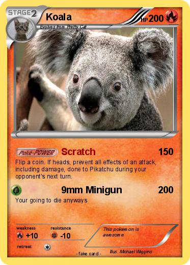 Pokemon Koala