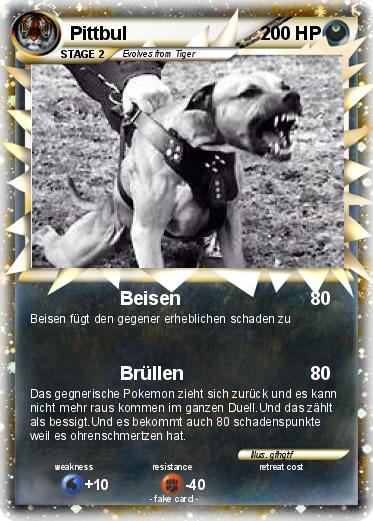 Pokemon Pittbul