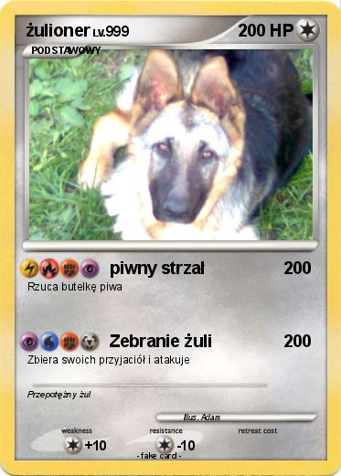 Pokemon żulioner