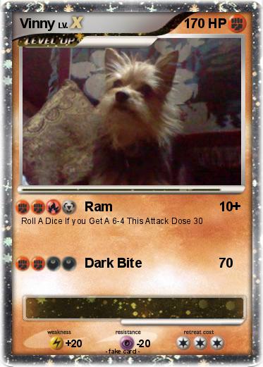 Pokemon Vinny
