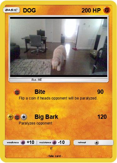 Pokemon DOG