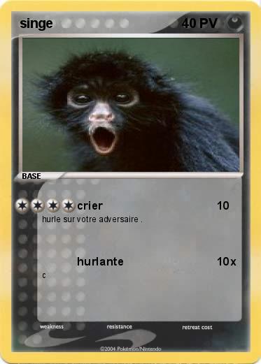 Pokemon singe