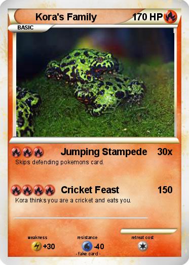 Pokemon Kora's Family